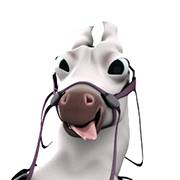 提供晚班兼職現領服務的專家webberKung