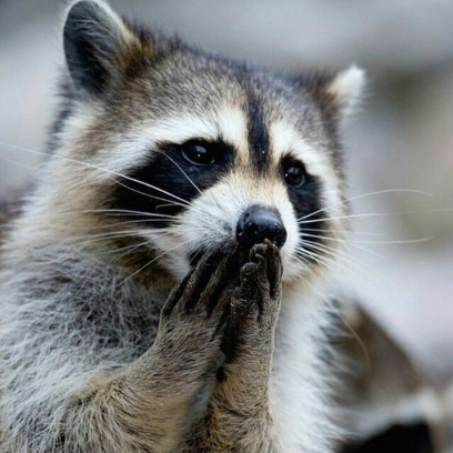 提供120服務的專家Pandaxuan