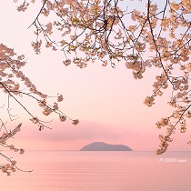 提供好喝調酒服務的專家熱可可專家