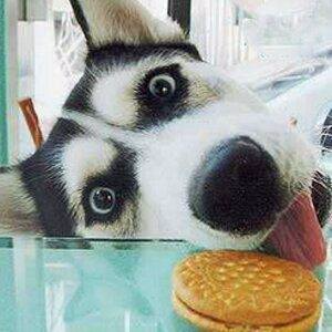 提供cad服務的專家私人接單工作室